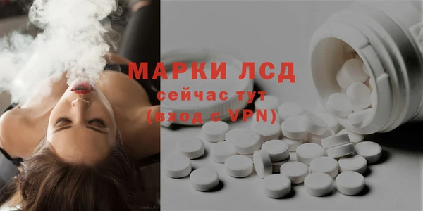 дмт Пересвет