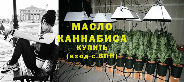 дмт Пестово