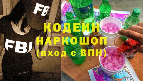 дмт Пестово
