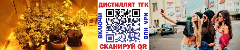 ТГК вейп с тгк  сайты даркнета телеграм  Закаменск  блэк спрут маркетплейс 