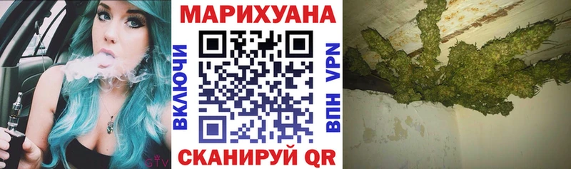 купить наркотики цена  Закаменск  Шишки марихуана гибрид 